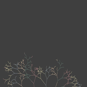 青春绽放的地方