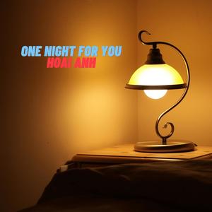 One night for you