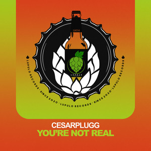 You're Not Real (Extended Mix)