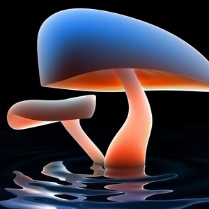 开始懂了 (环绕电音版)