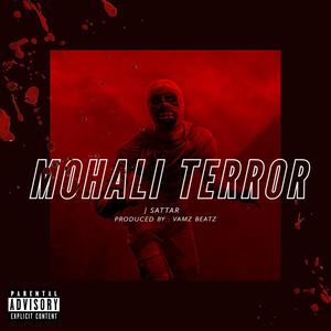 MOHALI TERROR