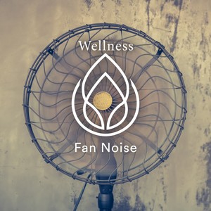 Fan Noise