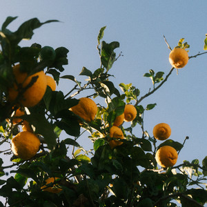 Citrus (feat. M1NT)