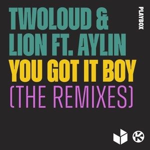 You Got It Boy (The Remixes) [Explicit]