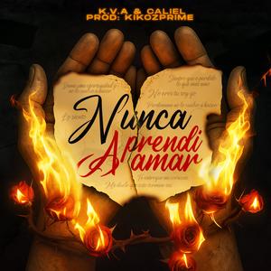 Nunca Aprendi a Amar (Explicit)