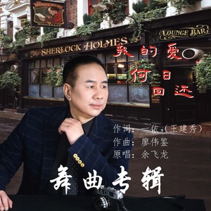 我的爱，何日回还