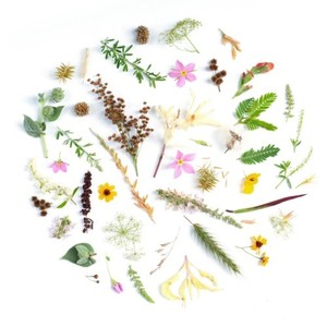 合言葉 (feat. Kaori)