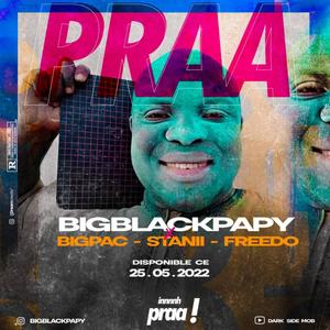 PRAA (feat. Big Pac, Big Black Papy, Freedo Santana & Stanii) [Explicit]