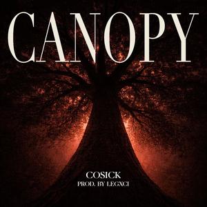Canopy