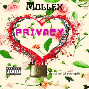 Privacy (Explicit)