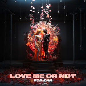 Love Me or Not (Radio Mix)