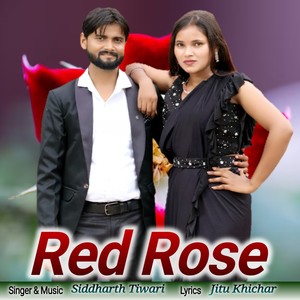Red Rose (Haryanvi Song)