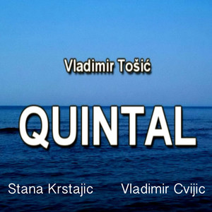 Vladimir Tošić: Quintal