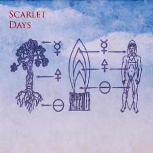 Scarlet Days