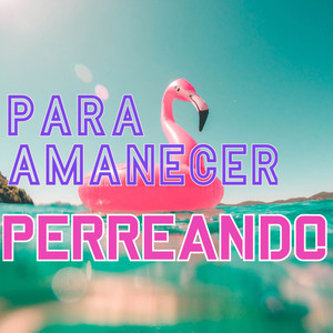 Para Amanecer Perreando (Explicit)