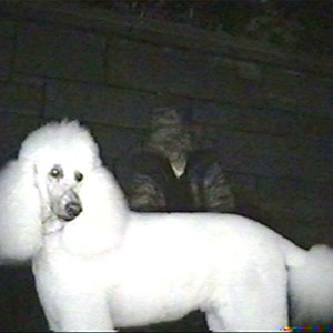 On My Own (Explicit)