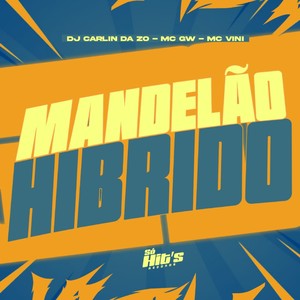 Mandelão Hibrido (Explicit)