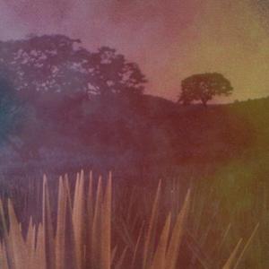 that's the plan (slowed + reverb)