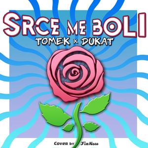 SRCE ME BOLI (feat. Dukat) [Explicit]