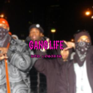 GANG LIFE