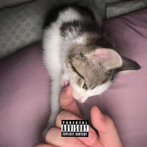 Breaking The Rules (freestyle) (Explicit)