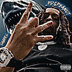 Sharks (Explicit)