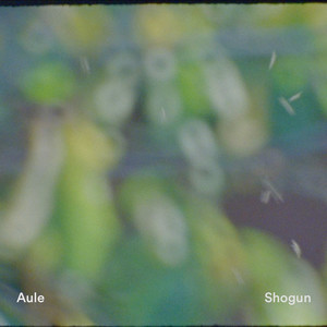 Shogun