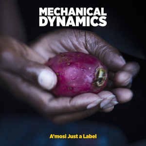 Mechanical Dynamics