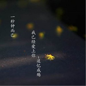 我已经爱上你