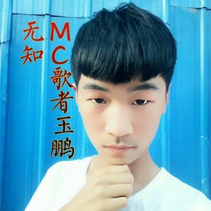 一人饮酒醉 (DJ版)