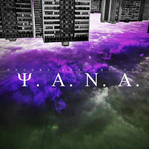 Y. A. N. A.