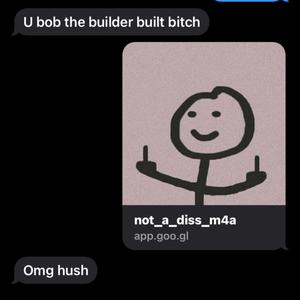 not_a_diss (Explicit)