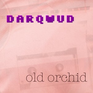 Old Orchid