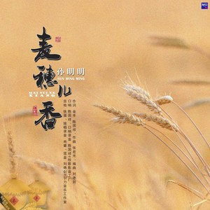 麦穗儿香 (伴奏)