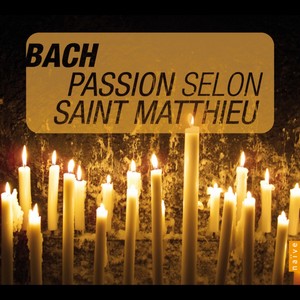 Passion selon Saint-Matthieu - Aus Liebe will mein Heiland sterben