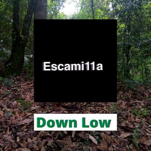 Down Low