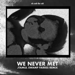 We Never Met (jtamul Swamp Fairies Remix)