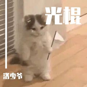 光棍封面