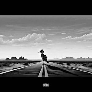 ROADRUNNER (feat. TA€ & pLywKøda) (Explicit)
