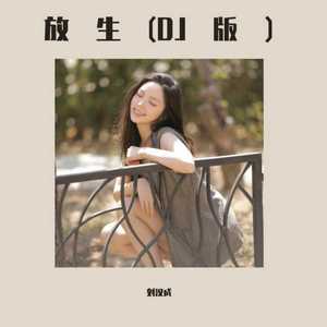 放生 (DJ女生版)