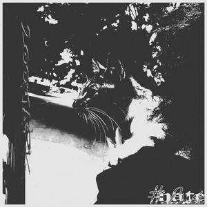 #Lust#hate# (Explicit)