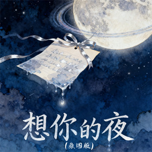 想你的夜 (氛围版)