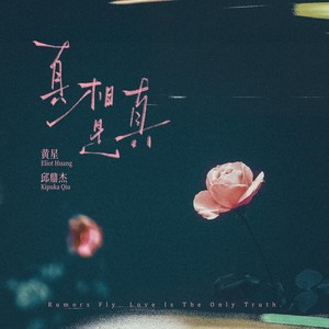 黄星 - 真相是真