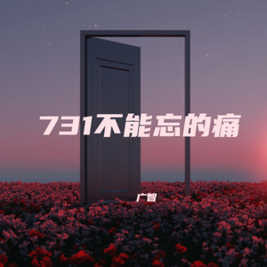 广智 - 731不能忘的痛