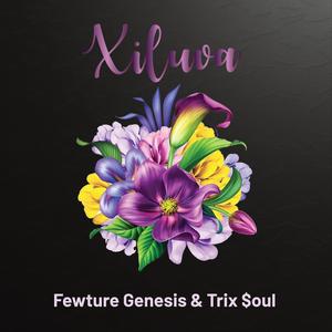 Xiluva (feat. Trix $oul)