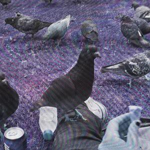 Gris Oscuro (feat. Purc)
