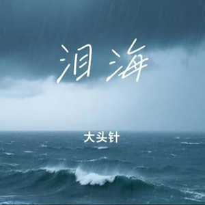 泪海(你怎么舍得让我的泪流向海)