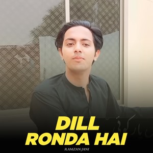 Dil Ronda hai