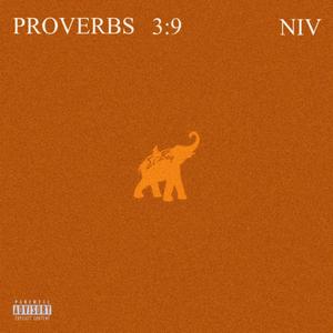 Promise You Never (Explicit)