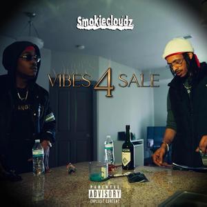 Vibes4sale (Explicit)